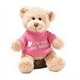 thumbnail image 2 of Gund Blue I'M THE BIG BROTHER Polyester Blend Plush Bear QGM9753, 2 of 3