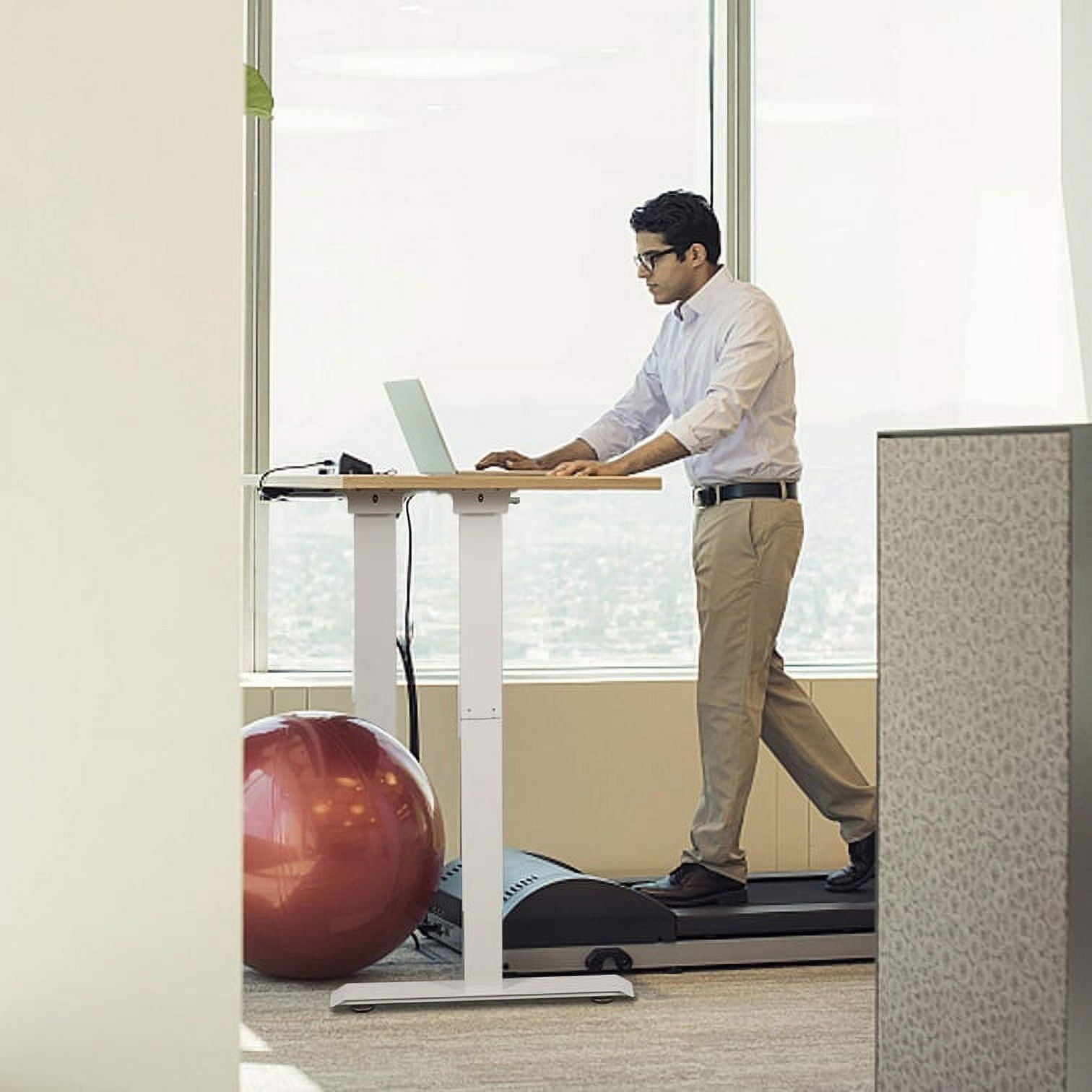 Standing Desk for Home Office, Adjustable Height Desk, 48 x 24 inch Capon Sitting and Standing Dual Motorized Gaming Desk, One Piece Top Electric Stand Up Desk, Natural