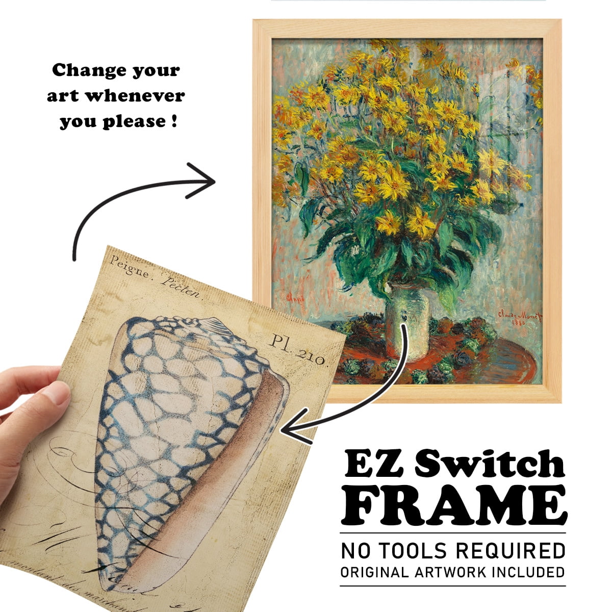 Seashell Ephemera IV - Framed Print w/glass - Natural Wood
