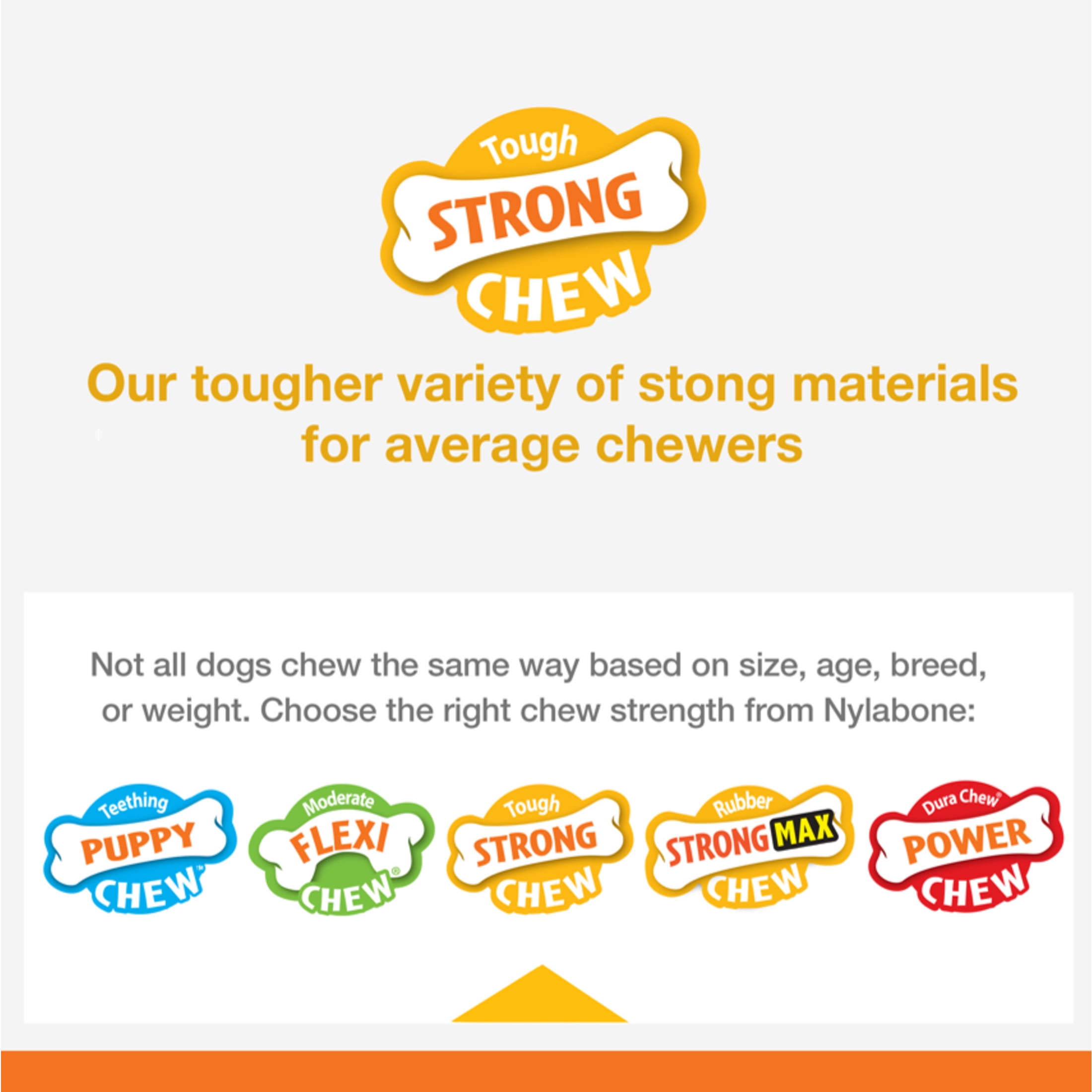 Nylabone Strong Chew Holiday Box - Small Chew Toys & Treat Gift Box Small (5 Count)