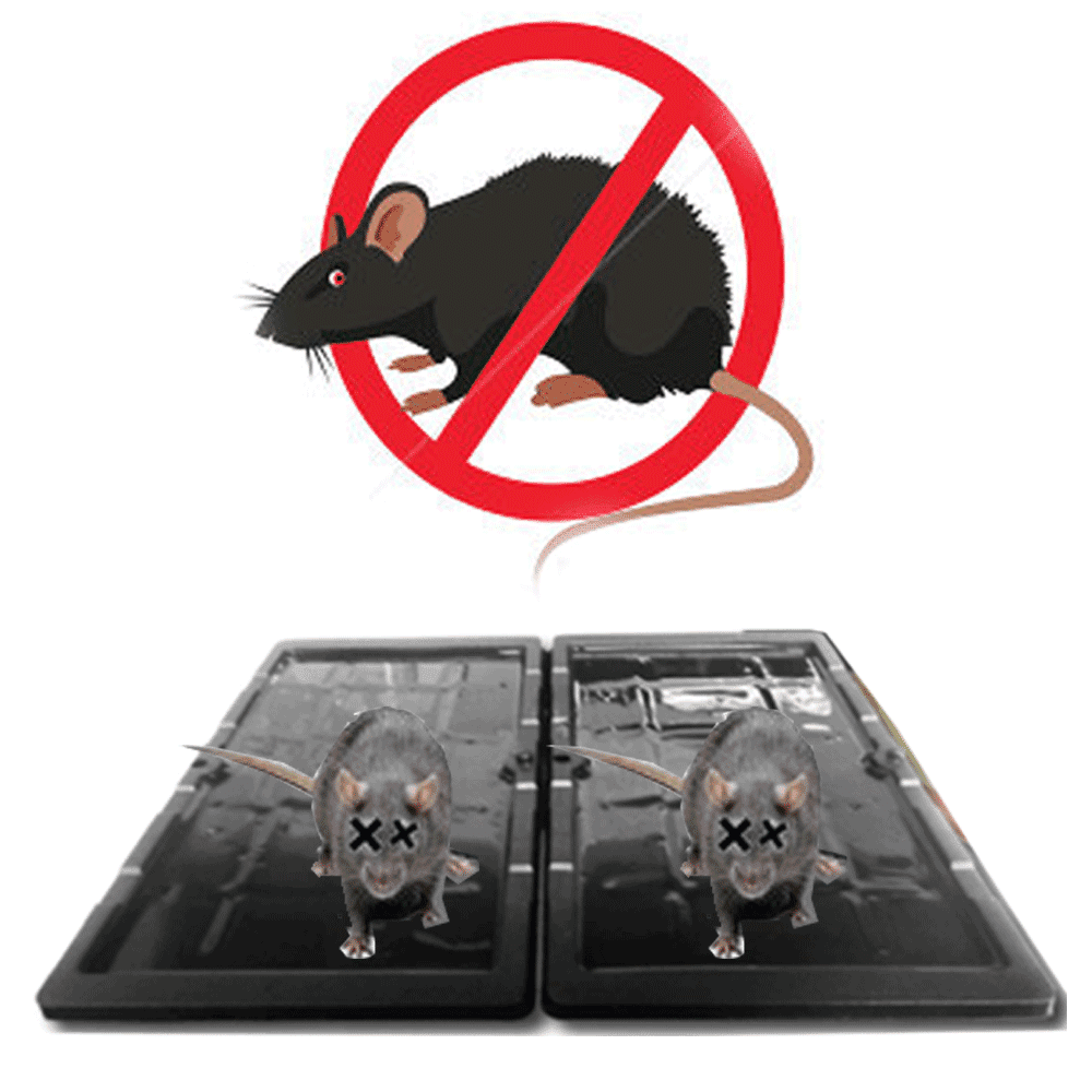 8X Jumbo Size Glue Sticky Trap Rat Mouse Snake Trays Peanut Scent Pest Control 8 