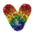 thumbnail image 1 of Red Carpet Studios 60098 Fuzzy Footies - Ladies - Rainbow, 1 of 1