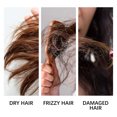 thumbnail image 4 of Acondicionador Sin Enjuague Fortalecedor para El Cuero Cabelludo y El Cabello (100 Ml) | Mejora El Cabello Seco y Encrespado | Aporta Brillo | Nutrición Botánica | Fórmula Ligera | Aceite de Camelia, 4 of 5