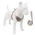 thumbnail image 4 of TopLLC Color Matching Pet Chest Back Clothes Breathable Dog Clothes Pet Clothes, 4 of 4