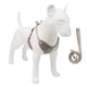 thumbnail image 4 of Ropa para Mascotas Xihbxyly Ropa Transpirable para Perros Combinaciones de Colores En El Pecho y La Espalda, 4 of 4