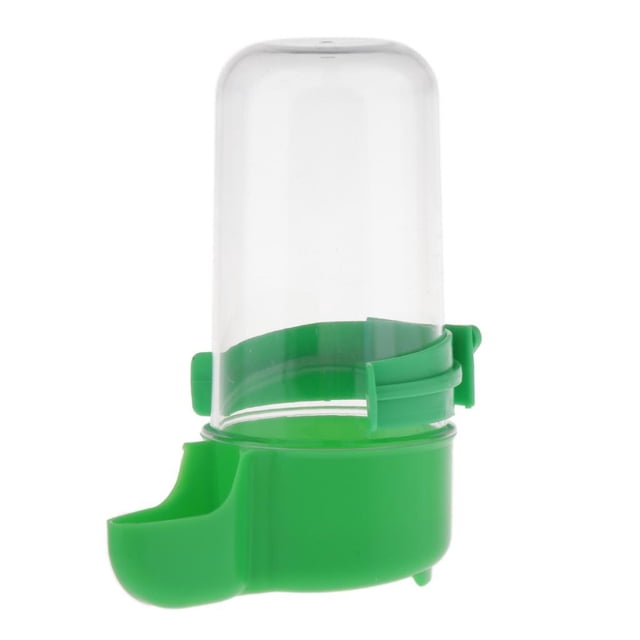 Botella de agua Colco Comedero de agua para pájaros 5x12cm Verde