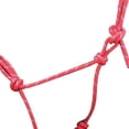 thumbnail image 3 of Hy Pet Protection Rope Halter, 3 of 4