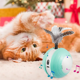 thumbnail image 3 of Juguete Eléctrico para Gatos, Juguete Interactivo, Pelota para Gatos, Pelota para Gatos con Movimiento Au, 3 of 7