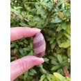 thumbnail image 4 of 1" Shiva Lingam Stone, Small Shiva Lingam Sacred Stones, 4 of 11