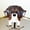Stylish Eyewear Organizer Under $5 a7, variant on Yrmaups Wooden Sunglasses Holder, Animal-Themed Hand-Carved Eyeglass Stand, Desk Organizer for Office and Home Decor, Decorative Accessory for Glasses Jewelry Rings Watches