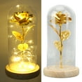 thumbnail image 3 of Enchanted Rose Romantic Gifts, Glass Dome Lucky Dome Glass and Red Rose Beautiful Symbolism  for RV Decor for Valentine 's Day Gold Leaf Rose Golden,Gold Leaf Rose Red,Green Leaf, 3 of 8