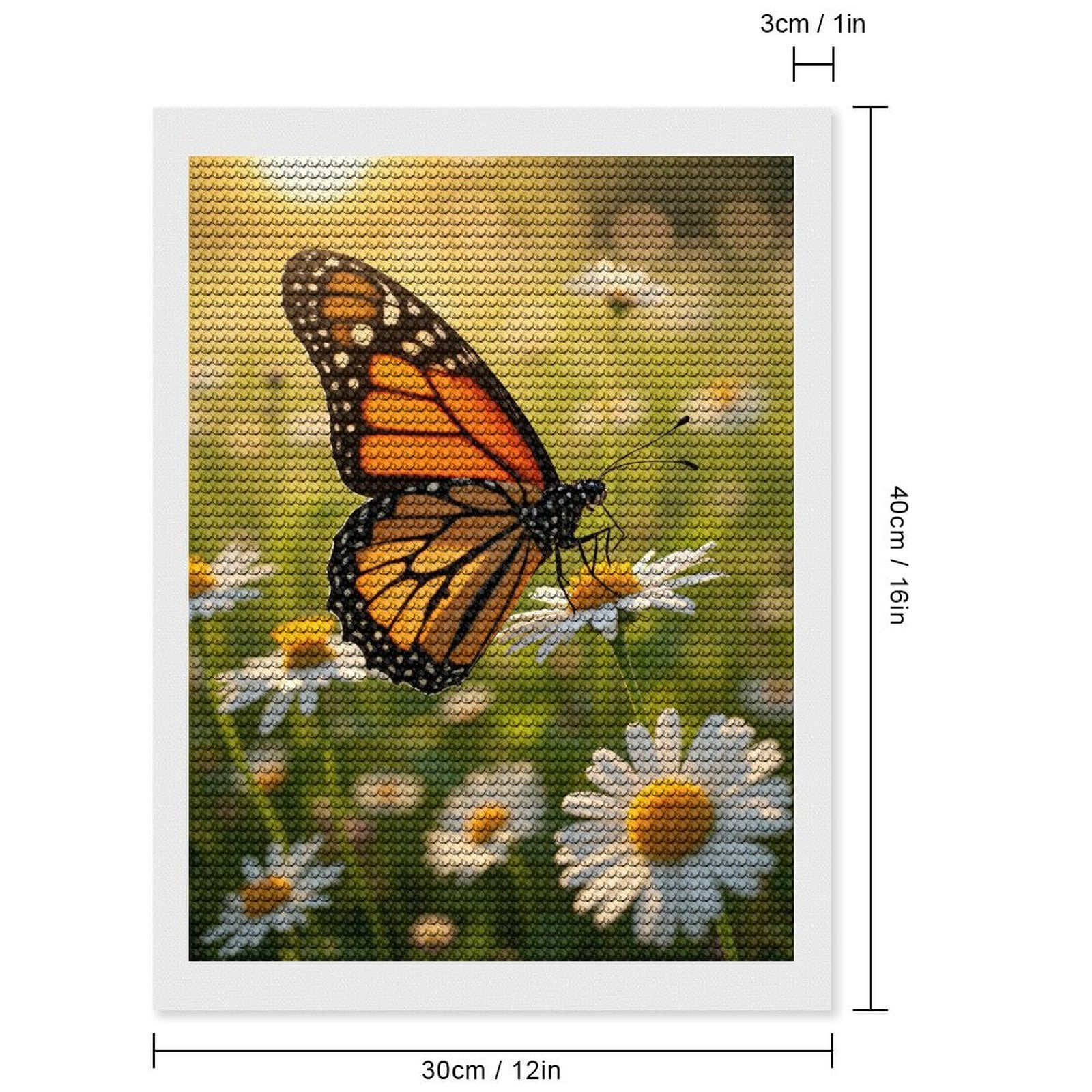 Diamond Art Kit for Adults, Butterfly On Daisies In Sunlight Diamond Painting for Adults Beginners, 5D DIY Diamond Art Painting Kits, Colorful Diamond Painting Craft for Home Decor 12x16