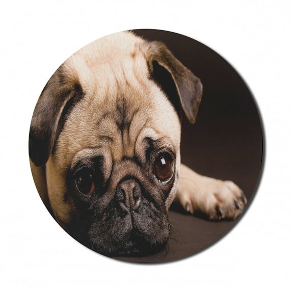 Pug Mouse Pad for Computers, Photograph of a Pet Its Little Paws Pure Bred Dog Image Animal Fun, Round Non-Slip Thick Rubber Modern Gaming Mousepad, 8" Round, Brown Pale Brown, by Ambesonne