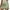 Green, variant on Landzoo Women's Mini A Line Skirt High Waist Zipper Satin Ribbon Lined Skirt Comfortable Casual Women's Skirt