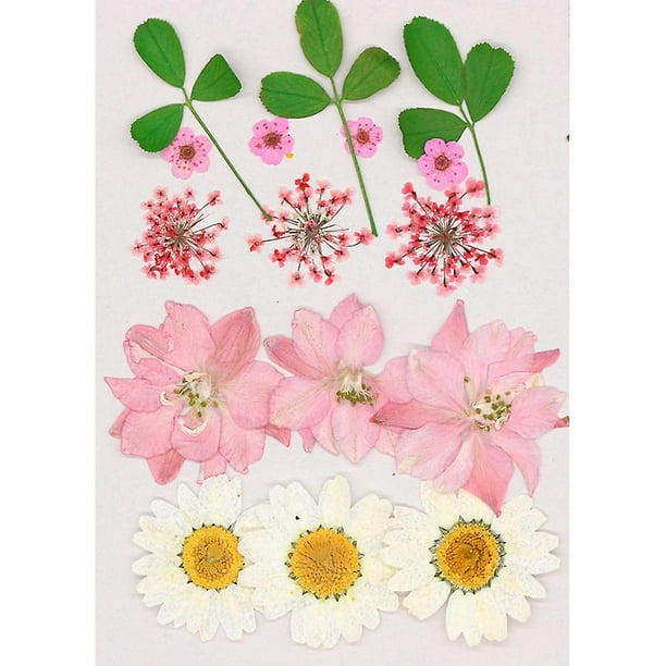 C 15 piezas de flores secas, resina epoxi, rellenos artísticos, calcomanías para decoración de uñas para principiantes