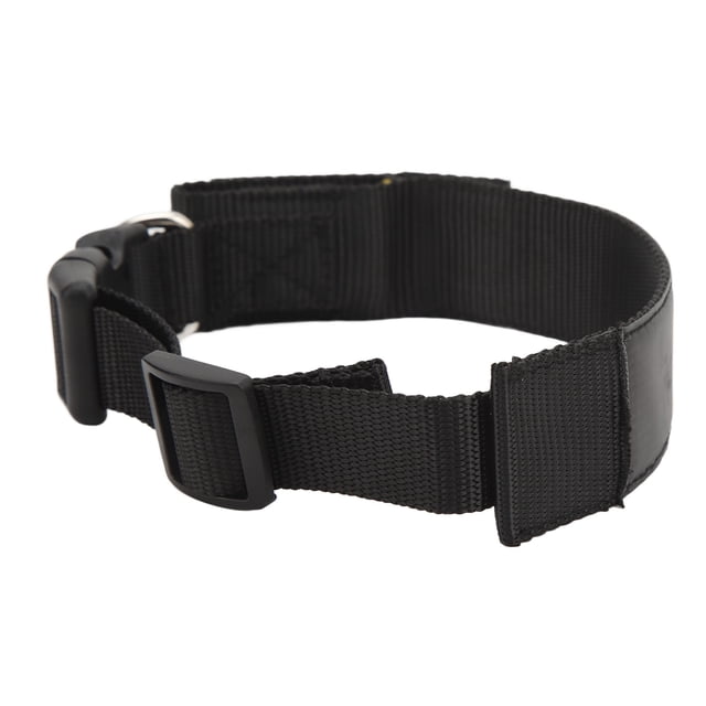 Collar de Perro LED Recargable Programable Brillante Alta Visibilidad Collar Iluminado Seguridad para Perros Cuello Intermitente un Color Transmisión Móvil BT ANGGREK Otros