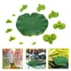 thumbnail image 2 of 1 juego de lenteja de agua flotante artificial de plástico con raíces para decoración de acuario., 2 of 8