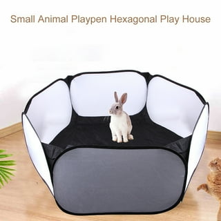 Bearded dragon outlet playpen