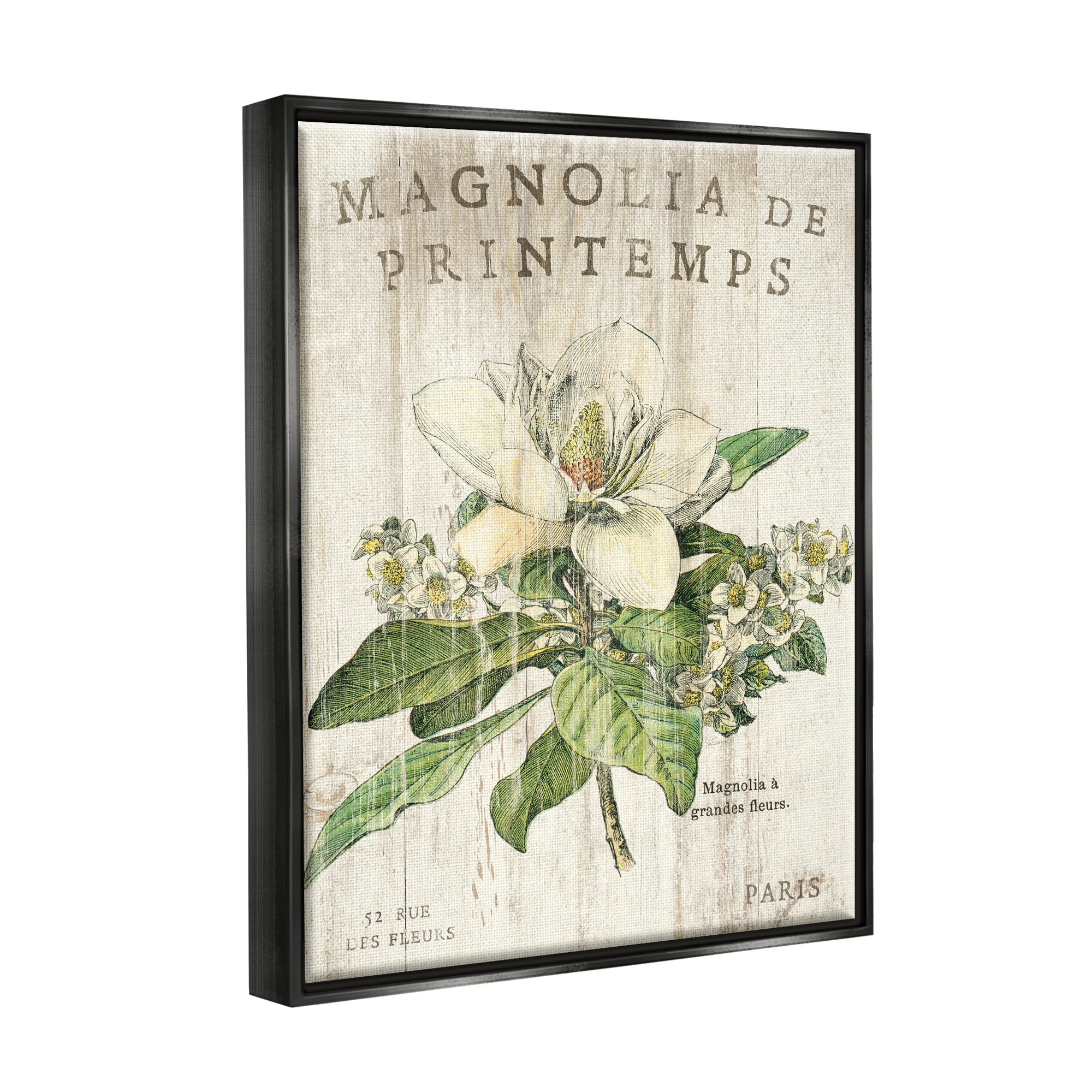 Stupell Industries French Magnolias In Spring Jet Black Framed Floating Canvas Wall Art, 16x20, by Sue Schlabach