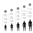 thumbnail image 5 of KAIYANG Calzoncillos tipo bóxer de malla transpirable, antibacterianos, sin marcas, de seda de hielo para hombre (L) XXL azul, 5 of 5