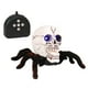 thumbnail image 1 of Skull Spider Toy Cool Infrared Spider Skull Toy Robusto Control Remoto Spider Toy No Tóxico Wireless Skeleton Spider Toy Anti-Caída Para El Hogar Niños Kearding HA017089-00, 1 of 5