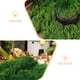 thumbnail image 4 of 1 bolsa de musgo artificial para decoración del hogar y manualidades. Musgo artificial para plantas de interior. Centros de mesa de musgo. Planta de simulación., 4 of 7