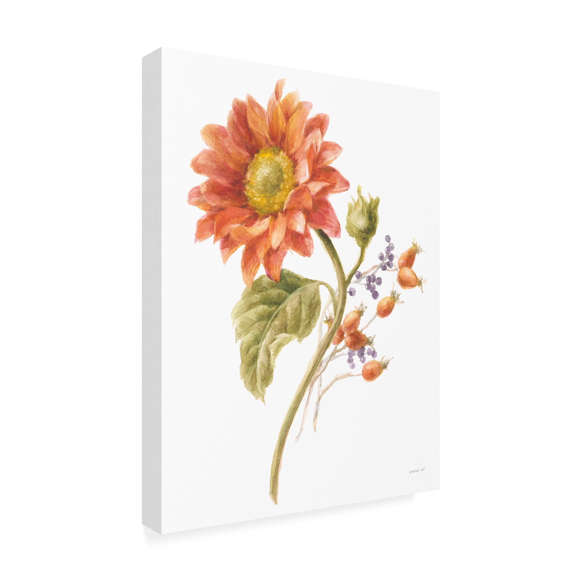 Trademark Fine Art 'Floursack Autumn II on White' Canvas Art by Danhui Nai