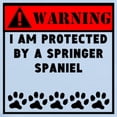 thumbnail image 2 of CafePress - Protected By A Springer Spaniel Body Suit - Baby Light Bodysuit, 2 of 4