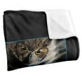 thumbnail image 3 of Harry Potter Owl Poster Officially Licensed Silky Touch Super Soft Throw Blanket 50' x 60', 3 of 6