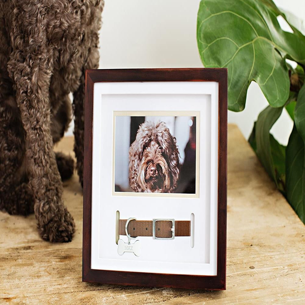 Pearhead Dog Or Cat Pet Collar Keepsake Frame, Opening to display pet's photo and collar. By Visit the Pearhead Store - Walmart.com Pearhead Dog Or Cat Pet Collar Keepsake Frame, Opening to display pet's photo and collar. By Visit the Pearhead Store - Walmart.com