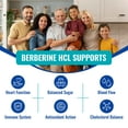 thumbnail image 5 of Simply Potents Berberine HCL 1200mg - High-Potency Supplement for Heart Health, Blood Sugar & Metabolic Balance, 60 Capsules, 5 of 6