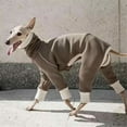 thumbnail image 2 of UOSIA Autumn Thin Warm Dog Onesie Jumpsuit Bodysuit High-Neck Stretchy Greyhound Shirt for Medium Large Dogs, 2 of 6