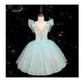 thumbnail image 2 of Falda de ballet para niños Falda de baile para niñas Disfraces de actuación colectiva del programa infantil Disfraces de actuación de baile, 2 of 2