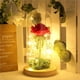 thumbnail image 3 of Naiovety Regalo del día de San Valentín Color Hoja de oro Lámpara de flor de rosa con cubierta de vidrio Adornos de decoración Lámpara de decoración Jardín y Patio Naiovety HA022015-00, 3 of 6