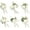 Ivory, variant on Set of 6 Burgundy & Ivory Foam Rose Boutonnieres with Pins for Men Wedding for Groom Groomsmen Wedding Ceremonies Anniversaries Formal Dinners Parties Proms
