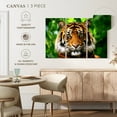 thumbnail image 4 of Elephant Stock Sumatran Tiger Gaze Wall Art - Horizontal Multi Panel Canvas - Living Room Wall Decor - Animal Multi Panel - Green And Brown Decor - 57" x 36", 4 of 4