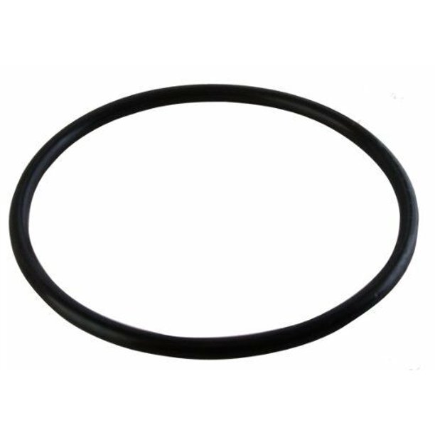 Pool Pump Seal Plate ORing For StaRite DuraGlas U9228A U9228 O240