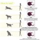 thumbnail image 5 of Correa retráctil para perro de 5M, cadena con freno y bloqueo de un botón, correa retráctil sin enredos, perfecta para perros pequeños y medianos de hasta 25Kg brillar Electrónica, 5 of 5