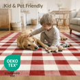 thumbnail image 4 of ODIKA 4'x6' Washable Area Rug Pet Friendly, Non-Shedding Plaid Checkered Checked Tartan Vintage Farmhouse Gingham Squares for Bedroom, Reading Nook, 4 of 7