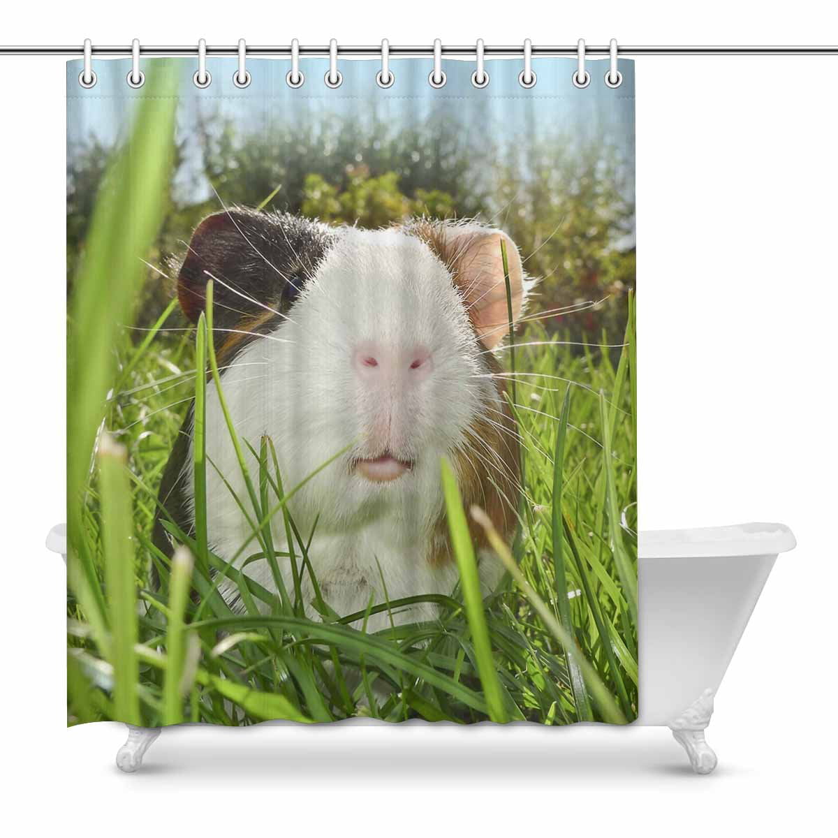 Dutch Rats Decor Guinea Pig Bathroom Shower Curtain Set Fabric &12 Hooks 71 Inch 