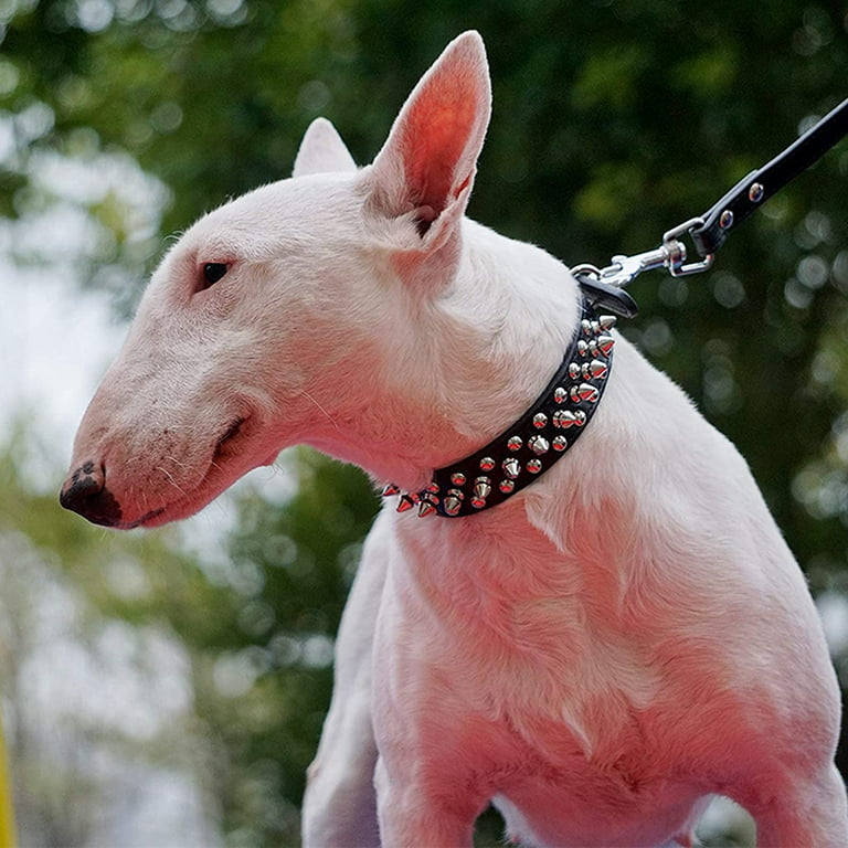 Boy Dog Collar Girl Dog Collar Wide Dog Collar Male Dog Collar 