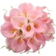 thumbnail image 1 of 10 Uds. De ramo de novia de lirio de cala, flores artificiales de tacto Real, decoración de fiesta en casa brillar Juguete, 1 of 4