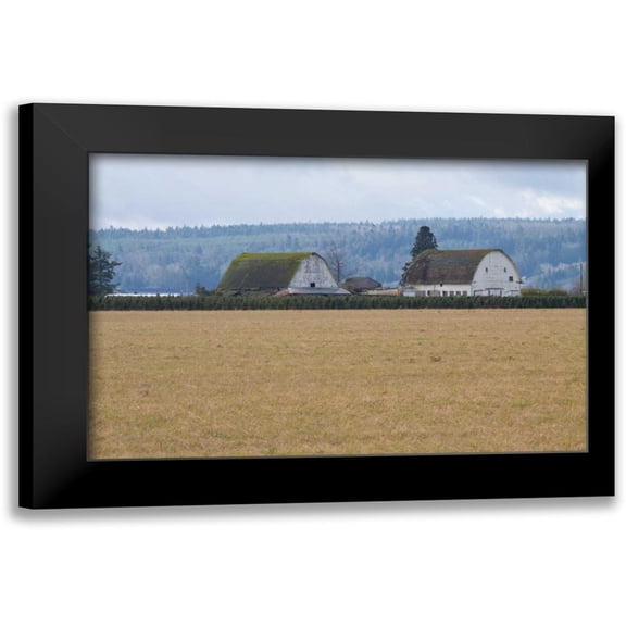 Styber, Dana 14x11 Black Modern Framed Museum Art Print Titled - Dual Barns