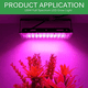 thumbnail image 4 of Lámpara LED de cultivo de espectro completo de 100 W para plantas, verduras y flores hidropónicas de interior., 4 of 5