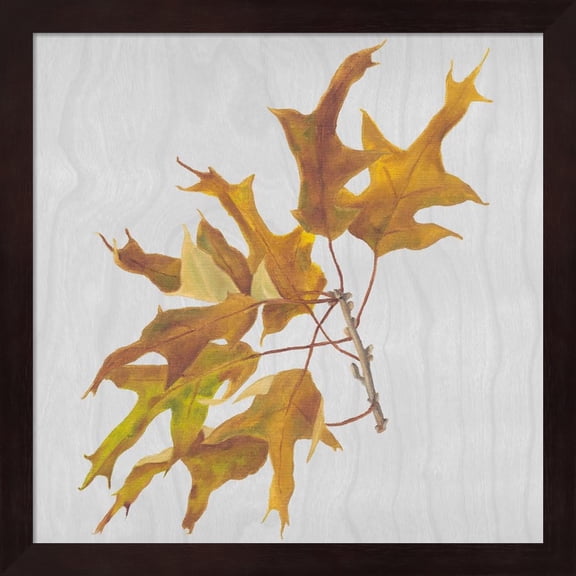 Autumn Leaves III by Dianne Miller, Framed Wall Art, 13.25W x 13.25H