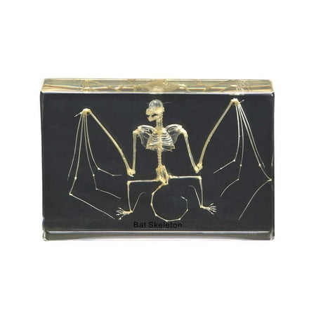 Bat Skeleton Resin Paperweight