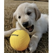 Spikeball Standard Replacement Balls (2 Pieces)