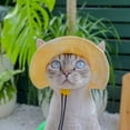 thumbnail image 5 of Minzimin Pet hat with Ear Holes Sunscreen Baseball Cap Suitable for Small and Medium-Sized Dogs Outdoor Climbing hat in Summer Pet Products  1Pack, 5 of 6