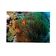 thumbnail image 1 of Cartel de fondo de acuario perfecl cara de PVC decoración de pecera terrario multicolor XS, 1 of 8