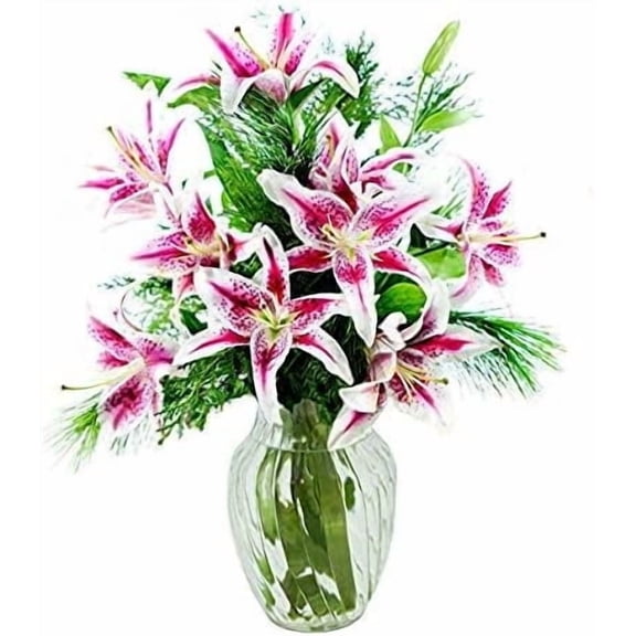 KaBloom : Red Stargazer lily with vase, Next-Day Delivery, Gift for Every Occasion.